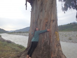 Jessica hugs a eucalyptus tree at our take-out on the banks of the Río Teno